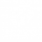 Horizontes 2